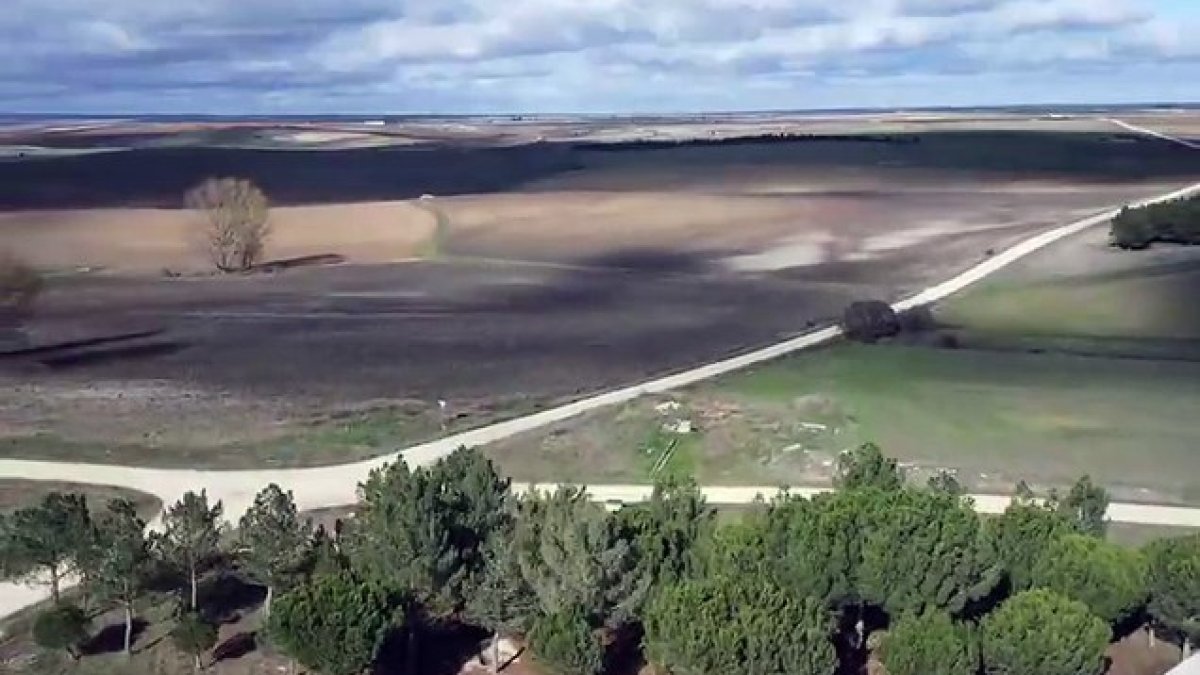 La Guardia Civil ha recuperado más de un millar de piezas arqueológicas a un vecino de Soria, pillado in fraganti cuando estaba expoliando en un yacimiento arqueológico en Baraona, el cual es Bien de Interés cultural. En su lugar se encontraría una necrópolis.