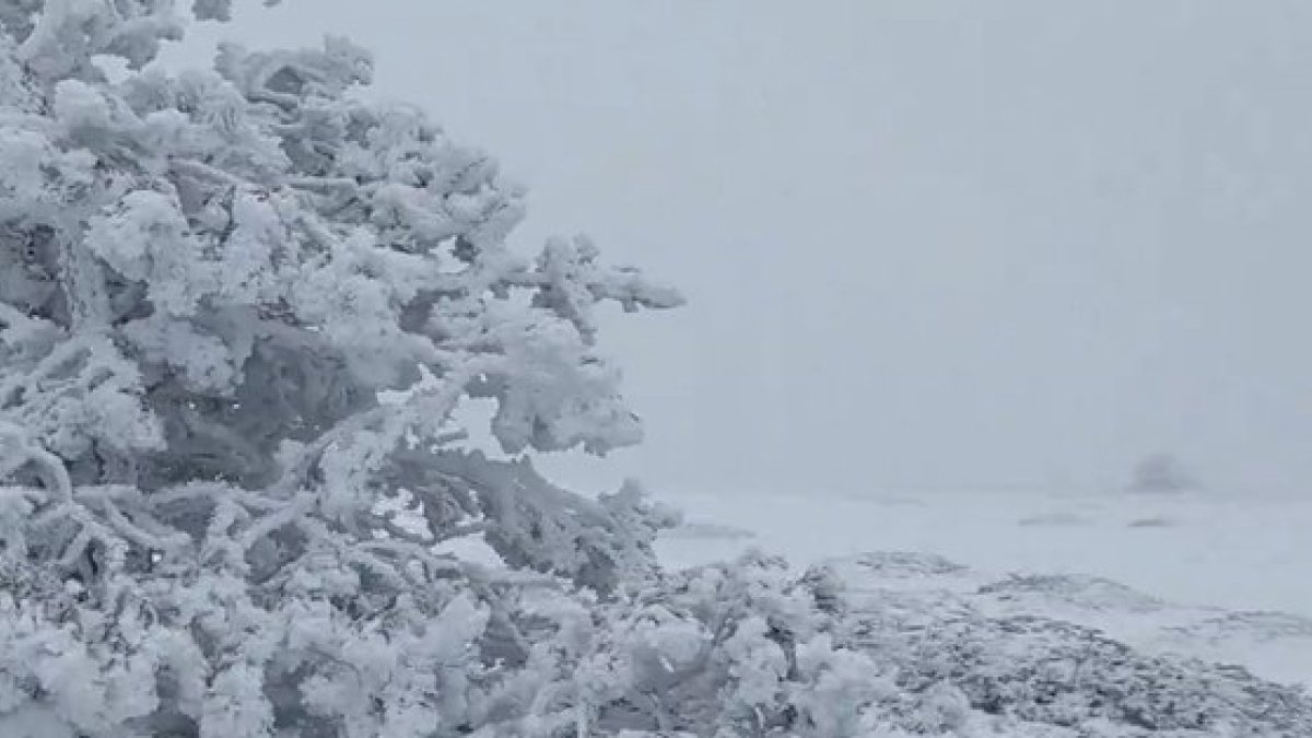 Mayo ha comenzado con frío en Soria, pero lo que se ha podido vivir en los pueblos o la capital poco tiene que ver con la heladora estampa en las partes más altas de Duruelo de la Sierra. Agustín Sandoval trae desde los más de 2.000 metros de altitud imágenes de nieve y hielo más propias de un invierno nórdico que de una primavera ya mediada.  <br />Según explica en su perfil de Twitter, @meteoduruelo, el responsable de la estación Meteoclimatic se ha encontrado 