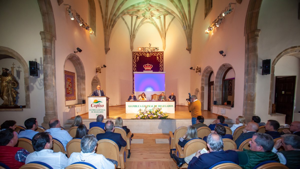 Asamblea general de Copiso, el año pasado en el Aula Magna Tirso de Molina.