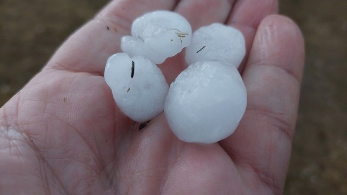 Las tormentas de agosto ya hacen acto de presencia en Soria. El responsable de la estación Meteoclimatic de Duruelo, Agustín Sandoval, captó esta de granizo en su localidad en el atardecer del lunes. Bolas de diámetro superior a una moneda de euro que arrasaron los huertos... pero dan vida al monte.