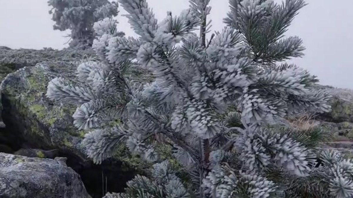 El otoño trae temperaturas suaves para buena parte de Soria en estos días, pero conforme se va ganando altitud la cosa cambia y muta en paisajes invernales. Es el caso de los que ofrece Urbión, acercados gracias a la cámara del responsable de la estación Meteoclimatic de Duruelo de la Sierra, Agustín Sandoval.<br /><br />