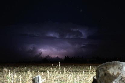 Rayos sobre un campo de cultivo en plena tormenta.