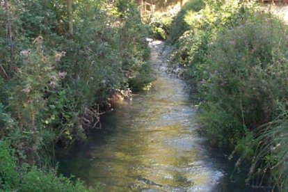 Río Queiles a su paso por Soria.