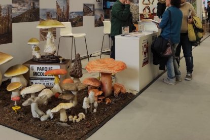 Espacio de Montes de Soria en Intur.