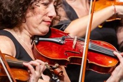 Orquestra de la Comunitat Valenciana-Titular del Palau de les Arts