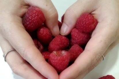 Las frambuesas de El Royo, una deliciosa iniciativa para luchar contra la despoblación. A.C.