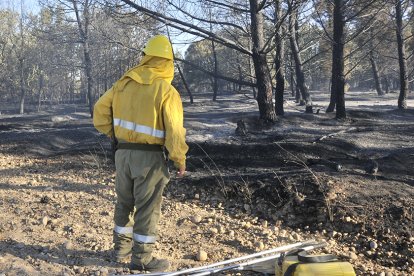 Incendio  forestal en una imagen de archivo. HDS