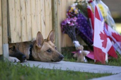 Los dos perros de Nathan Cirillo, el militar asesinado por un yihadista el miércoles en Otawa asoman bajo la puerta de su vivienda.-Foto: AP