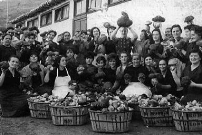 Empresa de transformación de setas en San Leonardo en 1961-