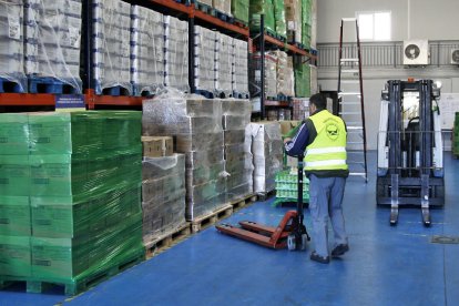 Voluntarios del banco de alimentos. MARIO TEJEDOR