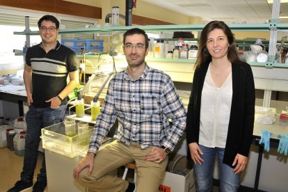 Víctor Alonso, Ignacio de Godos y Daphne Hermosilla, miembros del equipo del campus de la UVa en Soria que han desarrollado esta idea innovadora.- VALENTÍN GUISANDE