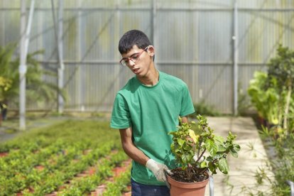 El programa Incorpora de la Fundación La Caixa ha propiciado 126 empleos en Soria en 2021. HDS