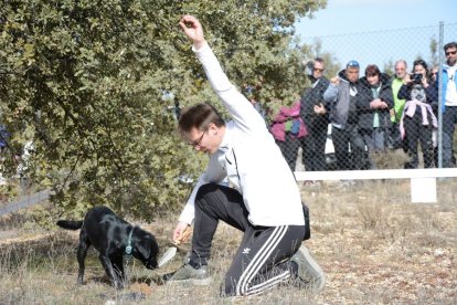 Concurso de trufa con perro esta mañana en Abejar.-R. FERNÁNDEZ