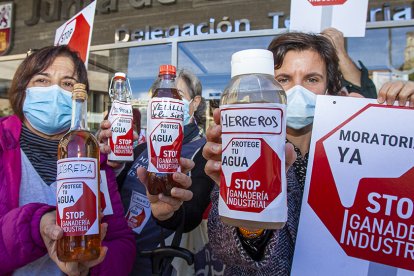 Concentración contra la ganadería industrial en la Delegación Territorial. MARIO TEJEDOR