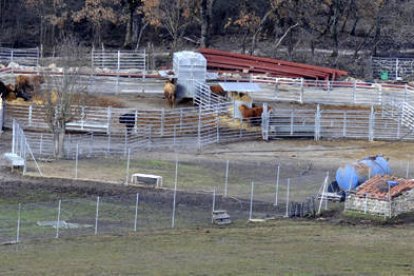 Estado actual de la construcción ganadera del alcalde de Abejar. / VALENTÍN GUISANDE-