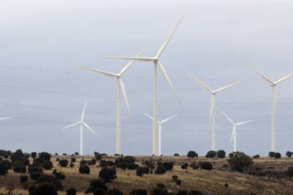 Parque de aerogeneradores  en Soria en funcionamiento. / VALENTÍN GUISANDE-