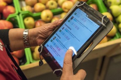 Una persona utiliza una tablet en una frutería. HDS