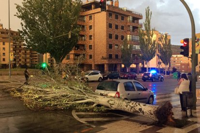 Árbol caído por el viento en Eduado Saavedra. HDS