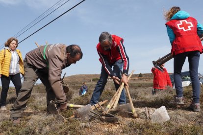 Organizadores repartiendo azadas para la plantación.-A.R.