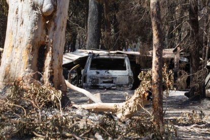 Los incendios forestales en Australia arrasan con todo a su paso.-EFE