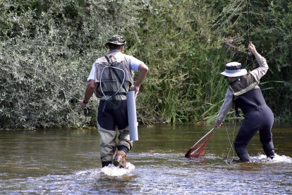 Uno de los participantes en el concurso de pesca del río Órbigo (León) cobra una pieza.-ICAL