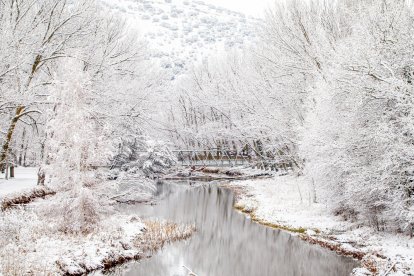 La nieve da paso a una mañana de fotos invernales. MARIO TEJEDOR (46)