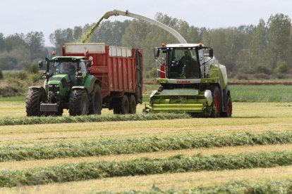 Un agricultor realiza labores de cosecha de forrajes en Palencia.-BRÁGIMO