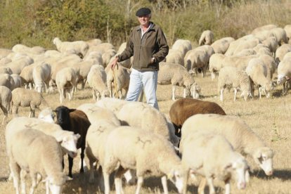 Un ganadero de ovino de la provincia soriana.-V. G.