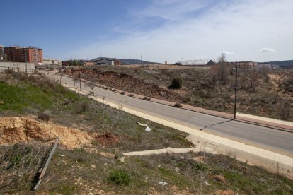 Parcela de la zona de Los Royales donde se ubicará el nuevo Centro de Procesamiento de Datos.- MARIO TEJEDOR