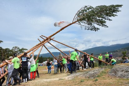 Covaleda ha sido una de las localidades que esta mañana de sábado ha vivido la pingada del mayo, una de las tradiciones más peculiares de la comarca de Pinares. Ante la mirada de cientos de vecinos y visitantes se ha conseguido con éxito alzar un gran pino con la destreza de los jóvenes de esta población pinariega. Esta jornada cuenta con comida popular, música de la charanga, juegos populares y dj en sesión nocturna en el salón municipal.