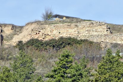 Muralla de Medinaceli. HDS