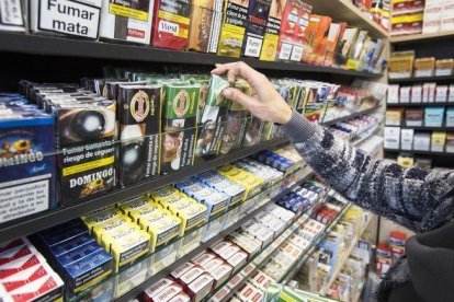 Brasil es líder mundial en la exportación de hojas de tabaco desde hace 26 años.-EL PERIÓDICO