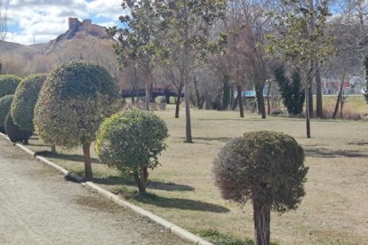 Parque del Carmen en El Burgo de Osma. HDS