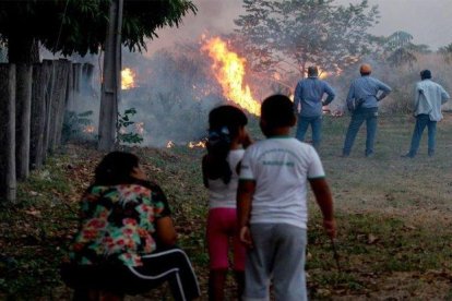 Se extienden los incendios forestales en la región del Pantanal, en Brasil.-EFE