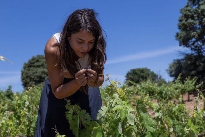 Ana Carazo en sus viñedos de Matanza de Soria. HDS