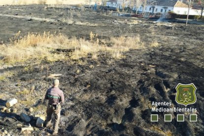 Terreno quemado en el incendio de Torralba del Moral. APAMCYL