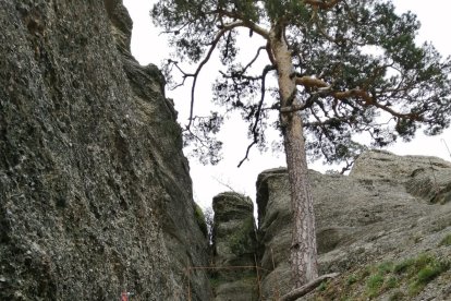 Zona de catas para el mirador de Castroviejo. HDS