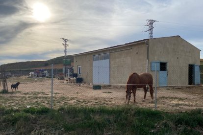 Nave construida en la finca municipal arrendada que el Ayuntamiento quiere vender. HDS