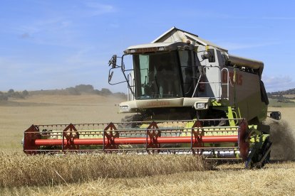 Cosechadora en un campo de la provincia de Soria. MARIO TEJEDOR