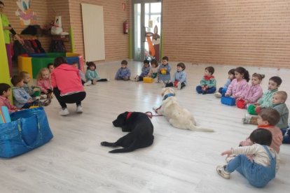 Sesión en el colegio La Alameda con dos perros.-A. HERNANDO