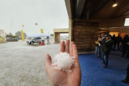 Granizo durante la inauguración de la Feria de Muestras de Almazán. GONZALO MONTESEGURO