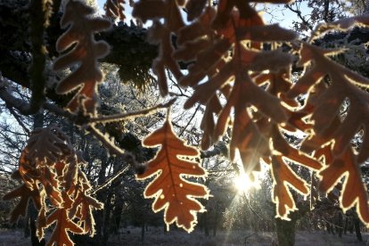 El frío y el hielo comienzan a hacer acto de presencia en Soria.-HDS