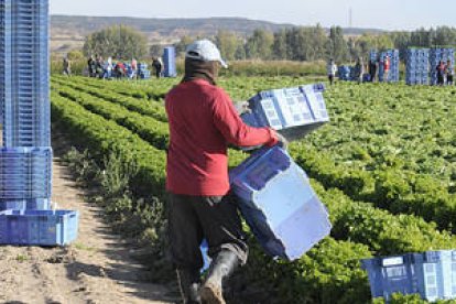 El sector de agricultura es el que experimentó una mayor caída. / V.G.-