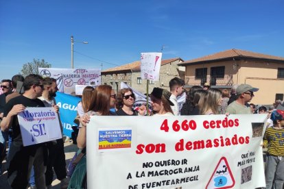 Cientos de personas participaron este sábado en <strong>Fuentearmegil </strong>(<strong>Soria</strong>) en una protesta contra la petición para instalar una <strong>granja </strong>de 4.660 <strong>cerdos </strong>a dos kilómetros de la localidad. A juicio de los manifestantes, la posibilidad de que se produzca contaminación del agua en una zona muy permeable es uno de los argumentos para parar el proyecto. Estas son las <strong>fotos </strong>de la manifestación.