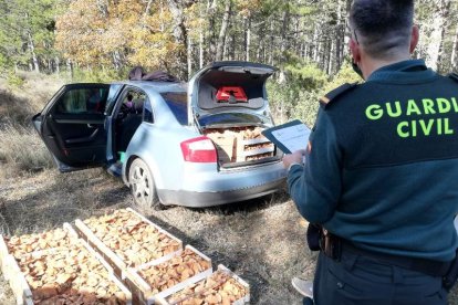 Una de las actuaciones de la Guardia Civil este martes.