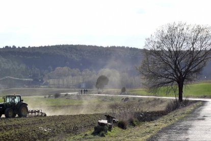 Un tractor trabaja sobre una finca de la provincia.-ÁLVARO MARTÍNEZ