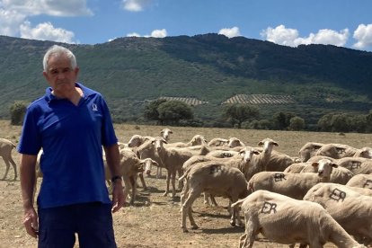 Eduardo del Rincón, ganadero de Soria atrapado en Ciudad Real junto a su familia y un rebaño de 1.000 ovejas. HDS