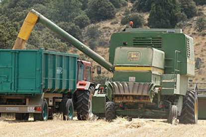 Un agricultor realizando las labores de cosecha./ V. G. -