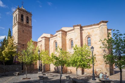 Vista general de la concatedral de San Pedro en Soria. HDS