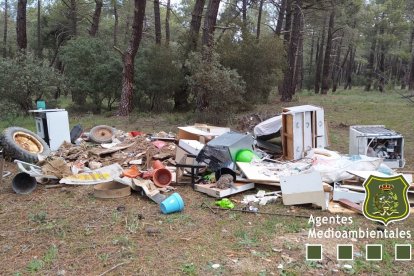 Estado en el que los agentes medioambientales encontraron el monte. HDS